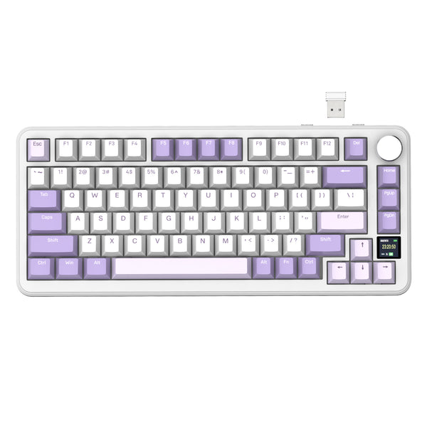 Lavanda / Blueberry Switch (Lineare)