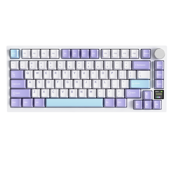 Star White + Interruttore Shark