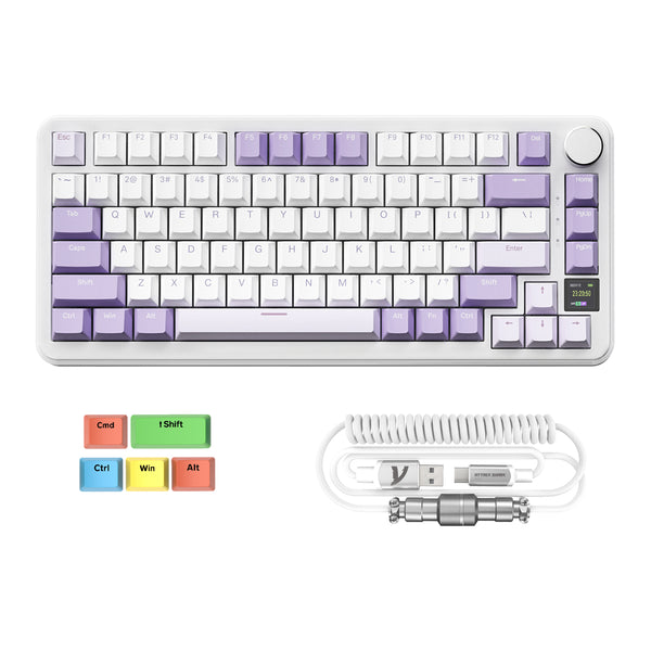 Lavanda (con cavo C01PRO) / Blueberry Switch (Lineare)