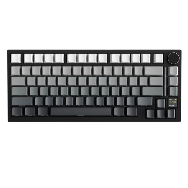 Black Gradient + Interruttore Shark