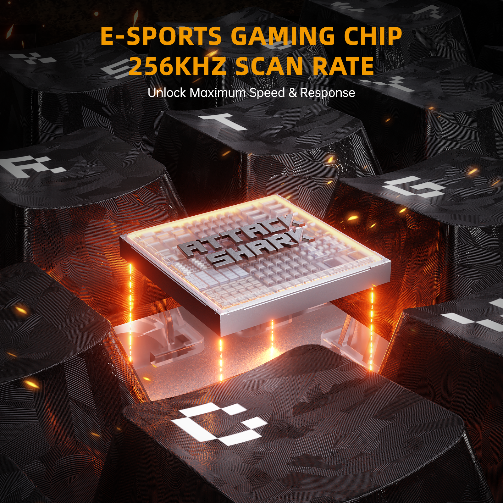 ATTACK SHARK R68 HE & R11 ULTRA Pacchetto Gaming in Fibra di Carbonio