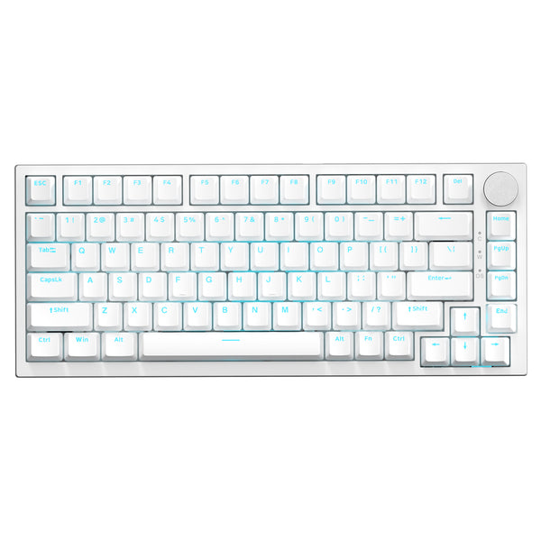 Bianco (Switch Clicky Blu, Illuminazione Ice Blue)