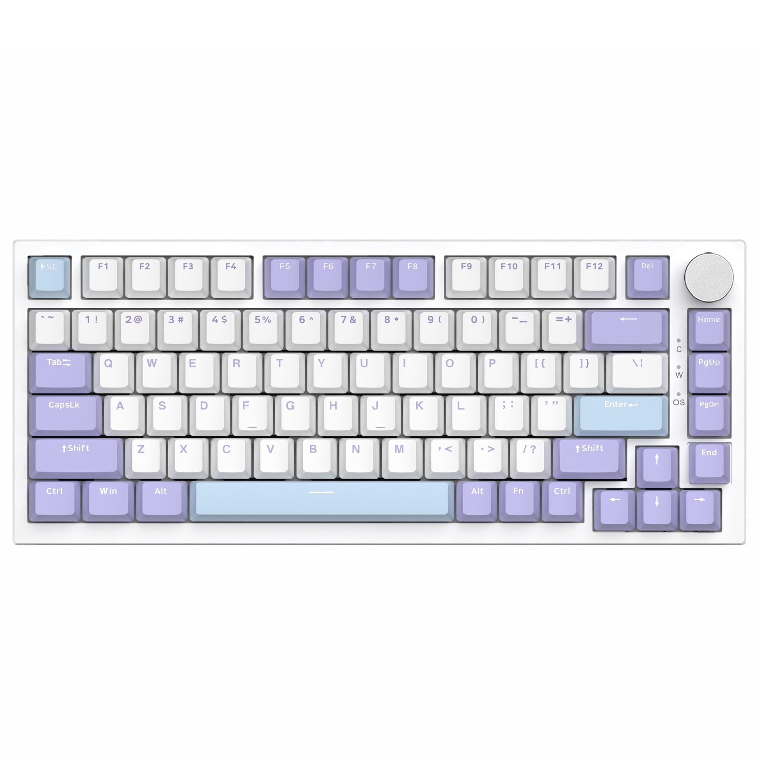 Bianco Viola (Switch Sea Salt, illuminazione RGB)